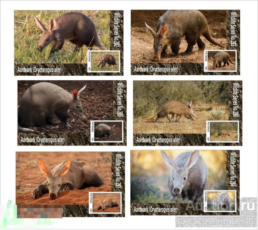 Тонго Чистые блоки  Фауна Дикие животные Муравьед Трубкозуб 2020