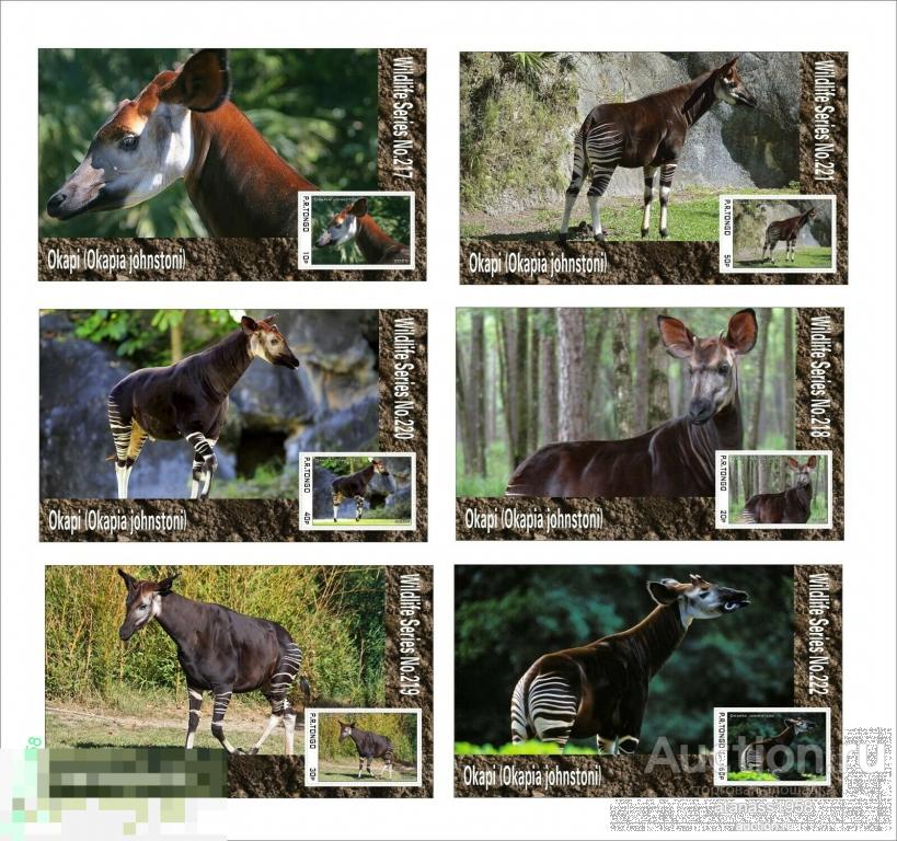Тонго Чистые блоки  Фауна Дикие животные  Окапи  2020