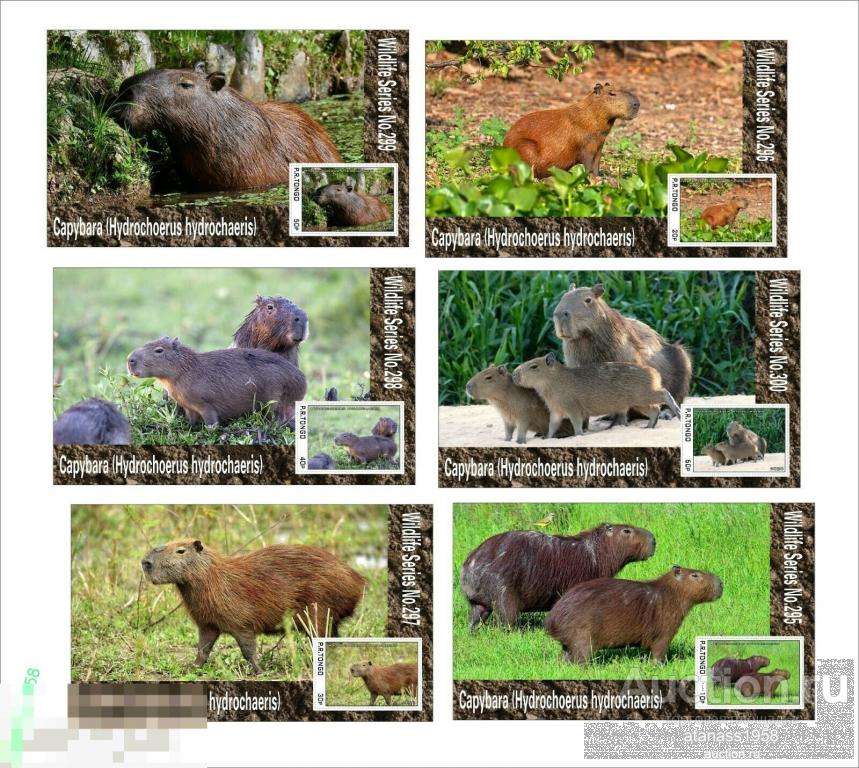 Тонго Чистые блоки  Фауна Дикие животные Капибара  2020