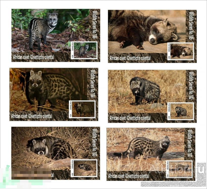 Тонго Чистые блоки  Фауна Дикие животные Африканский Цивет 2020