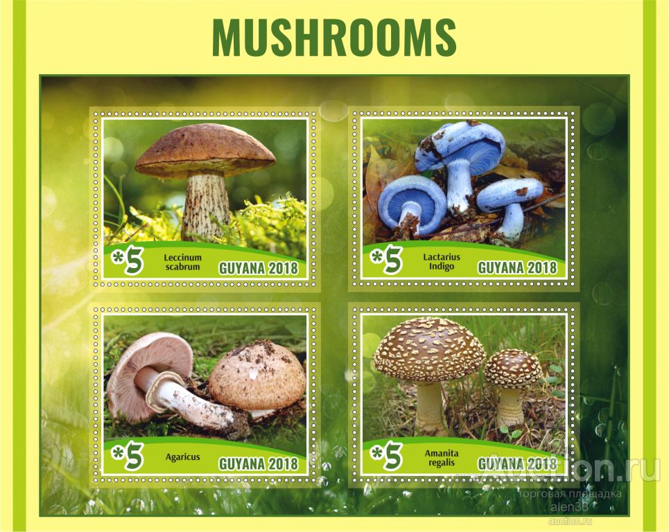 Флора Грибы комплект из 8 блоков