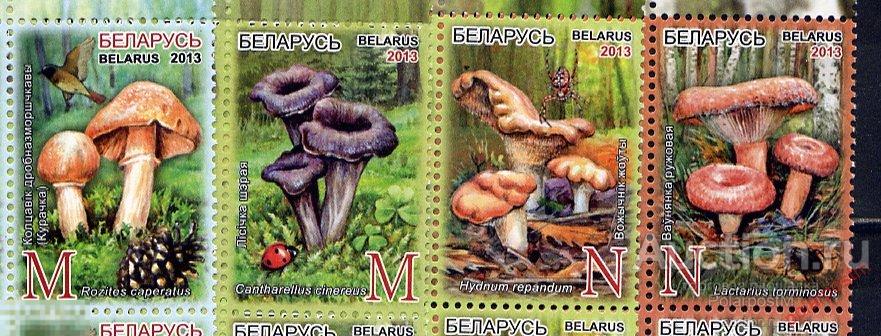 БЕЛАРУСЬ 2013 971-974 Грибы съедобные. 