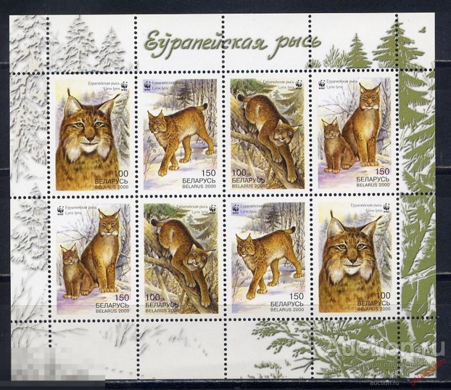 БЕЛАРУСЬ 2000 373-376 Европейская рысь. WWF. 