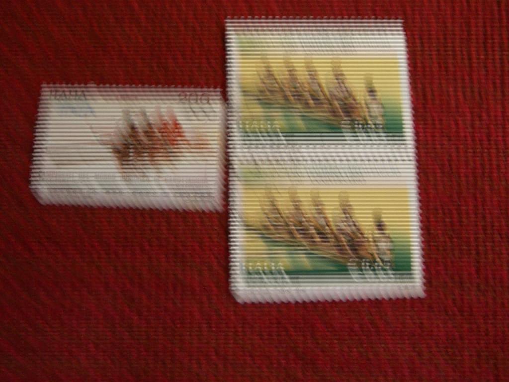 Италия 2008 и 1982 чемпионаты мира по гребне