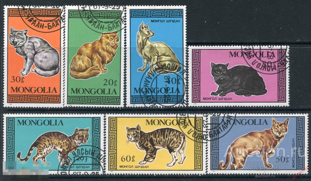 Y85 МОНГОЛИЯ 1987 1900-1906 фауна. Кошки 