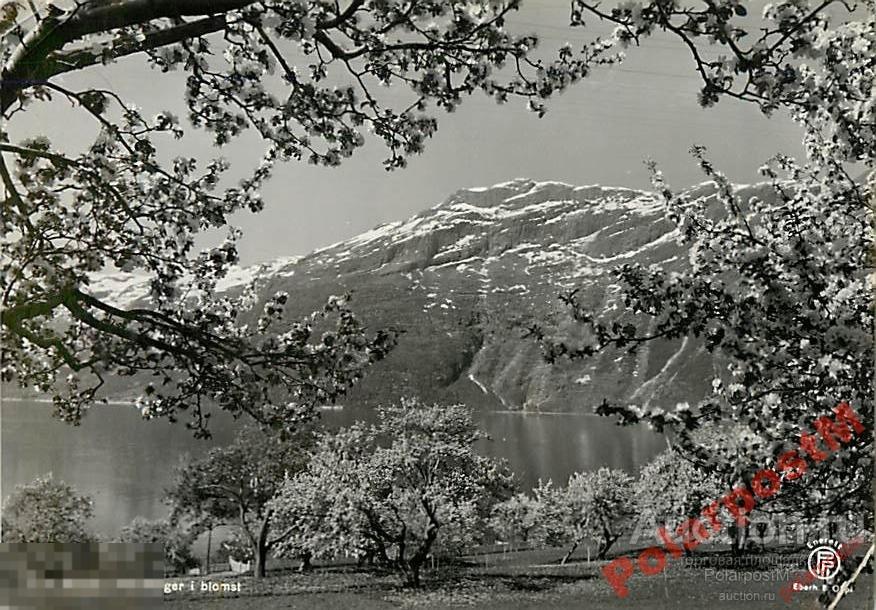 НОРВЕГИЯ NORGE (NORWAY) - HARDANGER I BLOMST 8-5 