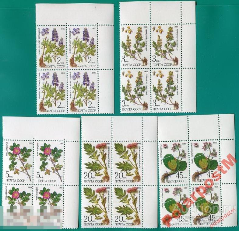 СССР 1985 SK№5580-84 (5649-53) РАСТЕНИЯ СИБИРИ №5 