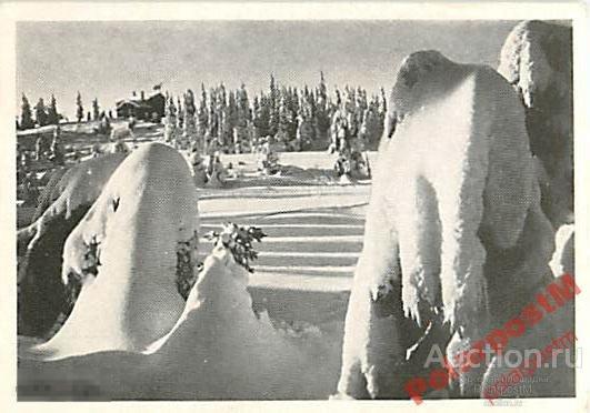 НОРВЕГИЯ NORGE (NORWAY) - FRA NORDMARKA, OSLO 