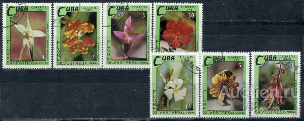 Y85 КУБА 1973 1909-1915 Дикие цветы. Растения. Флора. 