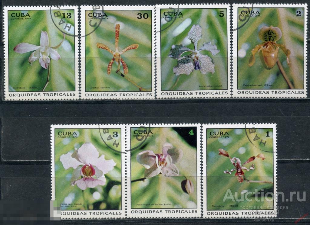 Y85 КУБА 1973 1855-1861 Тропические Орхидеи. Растения. Флора. Цветы 