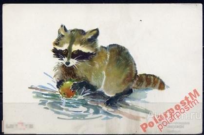 СССР 1968 ФАУНА ЕНОТ ХУДОЖНИК ГАМБУРГЕР 