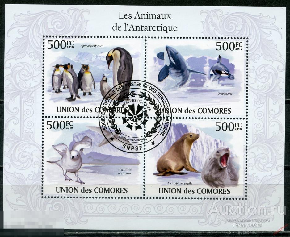 Коморские острова 2009 (2010) KU011 Животные и птицы Антарктики. Пингвины. Касатки. Тюлени 
