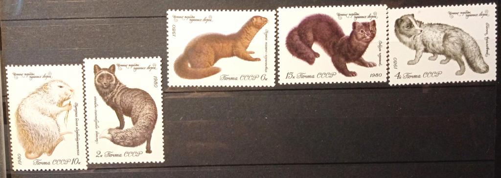 СССР 1980г 5018-5022 Ценные породы пушных зверей