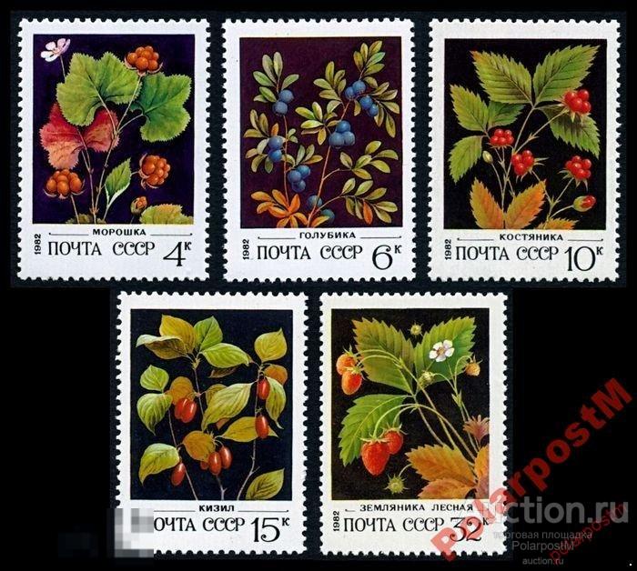СССР 1982  SK№5205-9 (5273-7) ДИКОРАСТУЩИЕ ЯГОДЫ.. 