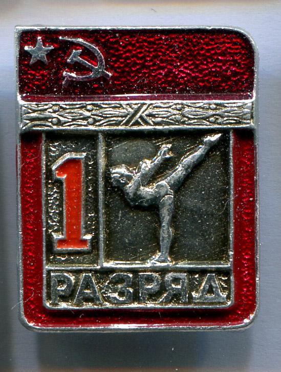Первый 1 разряд гимнастика спортивная ЭПРК 20