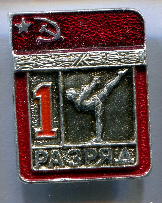 Первый 1 разряд гимнастика спортивная ЭПРК 19