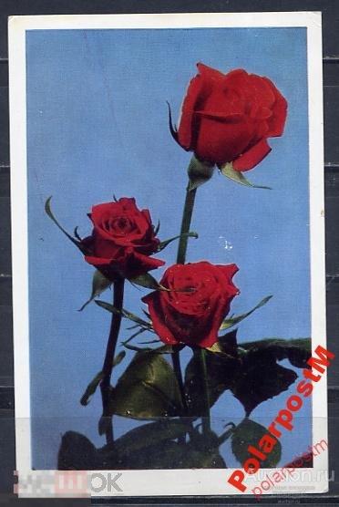 №4 СССР 1970 ЦВЕТЫ РОЗЫ 