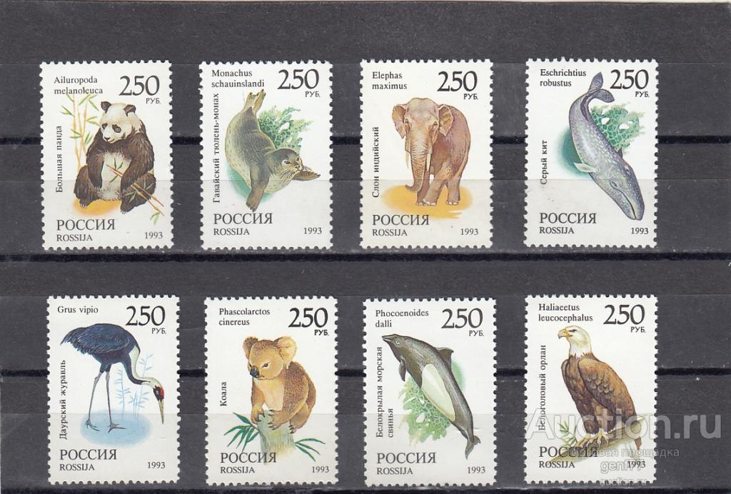 1993 Россия Фауна мира   Серия Сост**  MNH OG