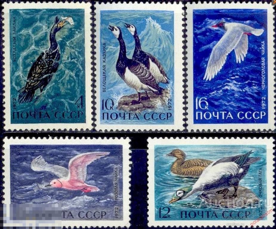 СССР 1972 SK№4024-4028 ПТИЦЫ. ПЕРНАТЫЕ – ОБИТАТЕЛИ ПОБЕРЕЖИЙ МОРЕЙ И ОКЕАНОВ 