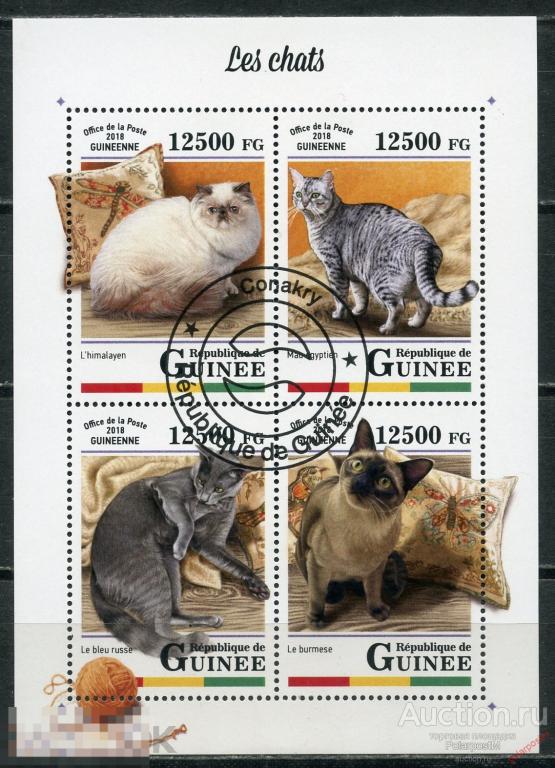ГВИНЕЯ 2018 G003 Фауна. Домашние кошки 