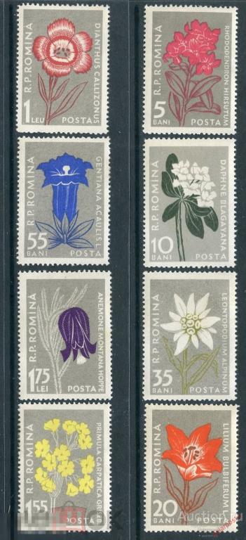 Y85 РУМЫНИЯ 1957 1647-1654 Горные цветы. Флора. Растения 