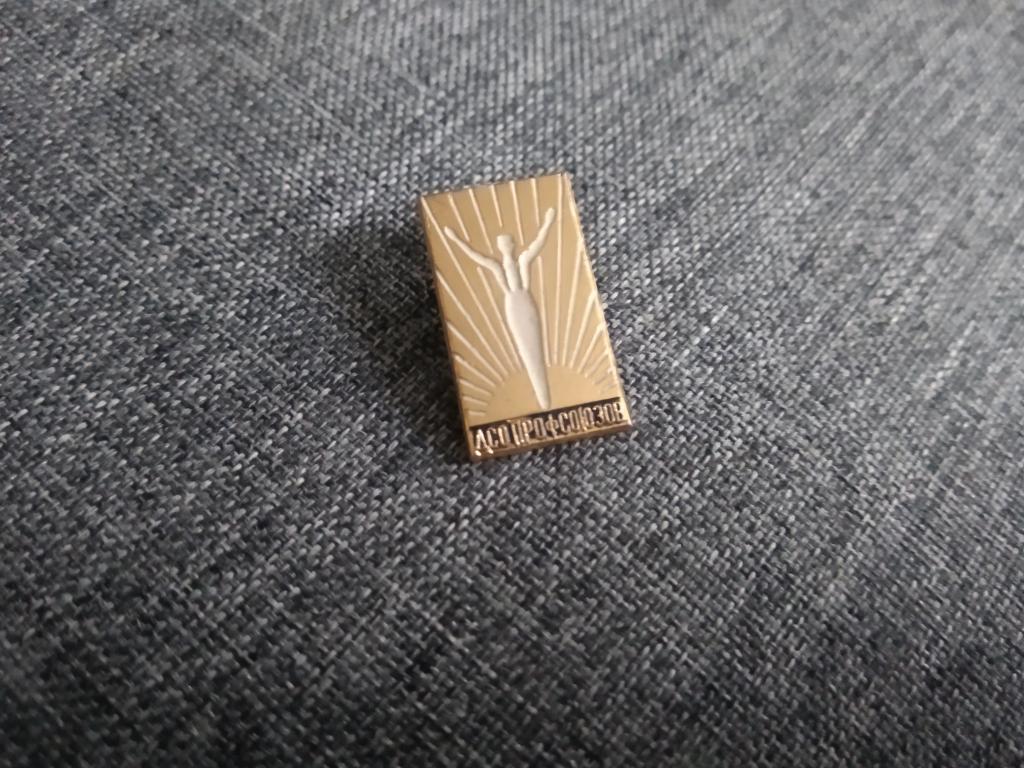 ДСО Профсоюзов спорт общество знак значок СССР