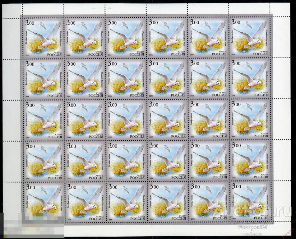 AAG РОССИЯ 2006 1140 Фауна Республики Саха (Якутия). Розовая чайка 