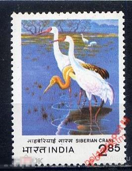 ИНДИЯ 1983 №942 ПТИЦЫ.  ЖИРАВЛИ 
