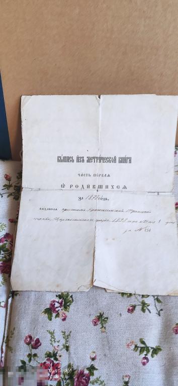 Выпись из метрической книги  1873г.