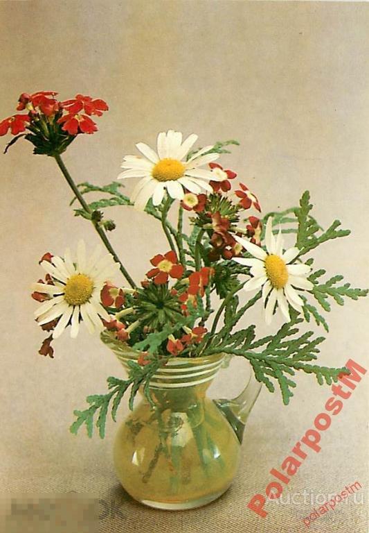 №11 ЦВЕТЫ РОЗЫ ТЮЛЬПАНЫ РОМАШКИ ОРХИДЕИ ЛИЛИИ И ДР 