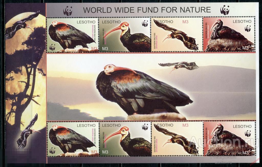 AM40 Лесото 2004 1895-1898 WWF. Фауна. Птицы. Всемирная охрана природы 