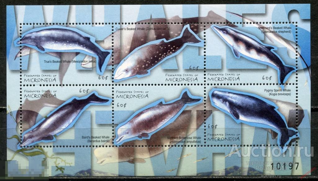 AM40 МИКРОНЕЗИЯ 2001 1132-1137 Фауна. Киты Тихого океана 