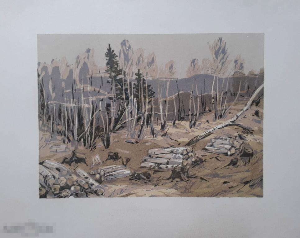 Лозовой Г.П. Вырубка. 1972. Б., цв.линогравюра, 19х26;  32х38 
