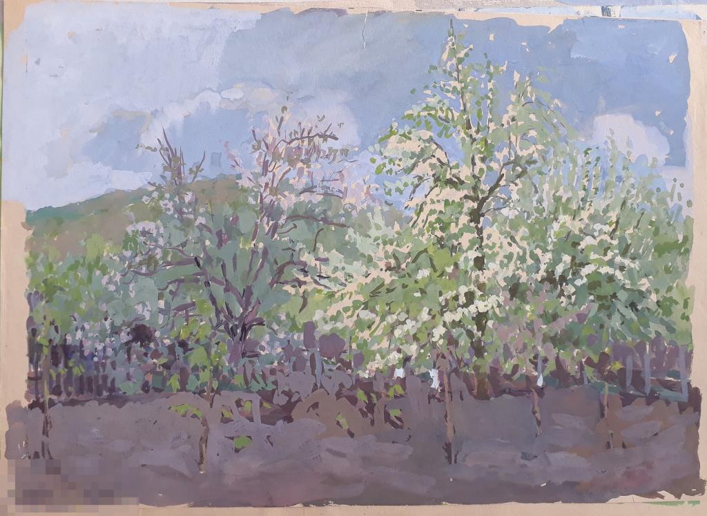 Алимова В.П. Цветущие деревья 1957. Б., гуашь, 28,5х40,5 