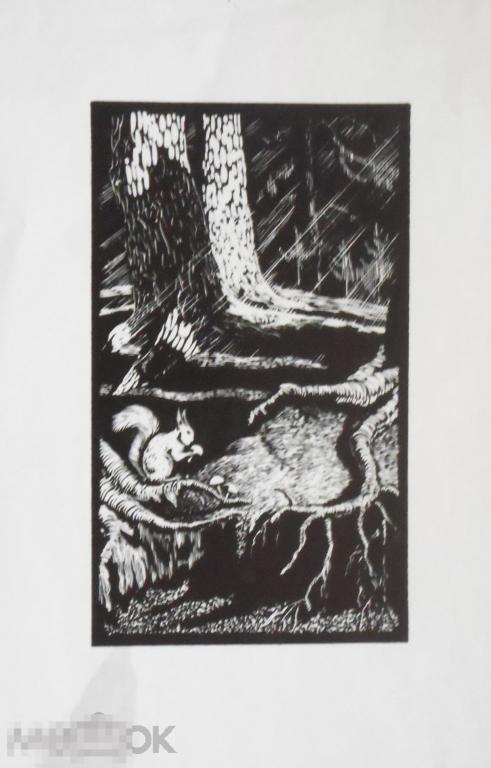 Зайцев А.К. Белочка. 1975. Б., линогравюра, 34х24; 23х13,5 