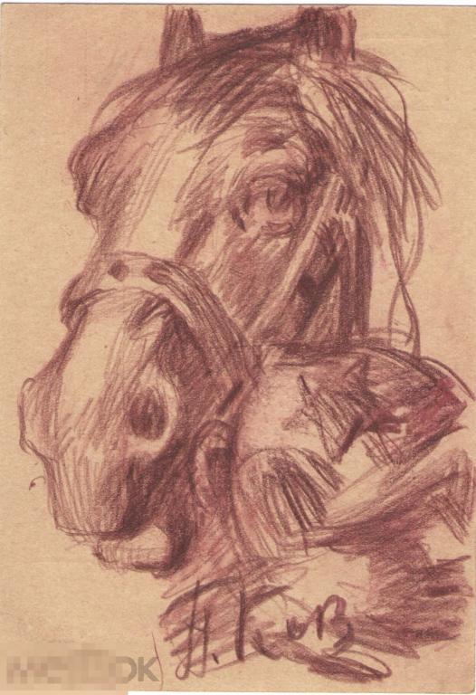 Котов Петр Иванович. Этюд головы лошади. 1930-е. 