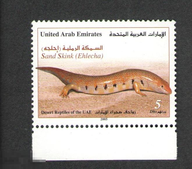 Объединенные Арабские Эмираты. 2005. Sandfish Skink