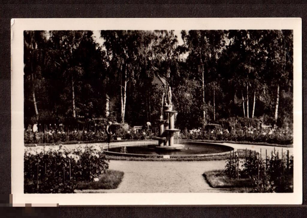 089 .Открытка. Германия. ГДР. Гера. Сад георгинов. 1955 год. Фотооткрытка. РЕДКОСТЬ!!! 