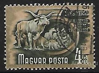 Венгрия. 1950. Стандарт. Пятилетний план. Домашнее животноводство. Гашение. ВЗ.