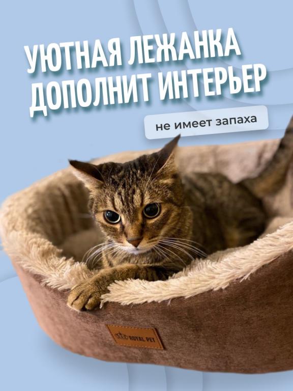 Авто ковров кошки