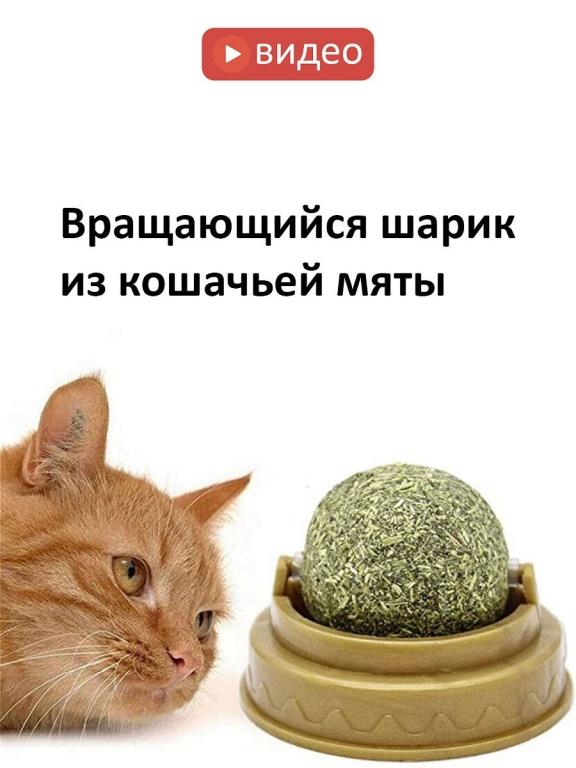 Авто горшок для кошек
