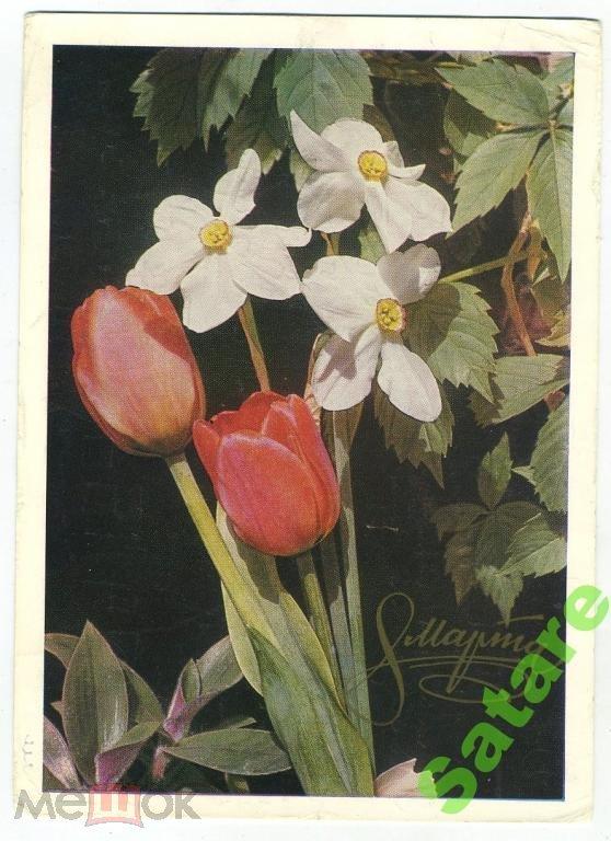 8 Марта - Данилкин Л - 1975 год (40)