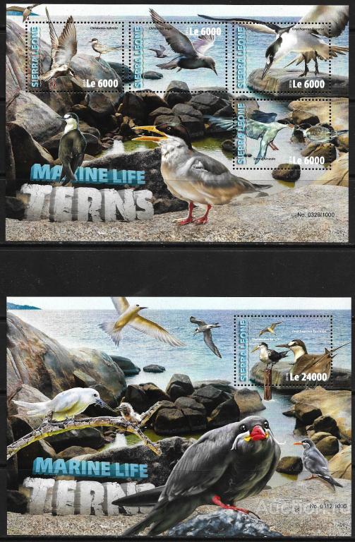 Сьерра-Леоне. 2016 год. Морская и прибрежная фауна. Птицы. Крачки. 2 блока