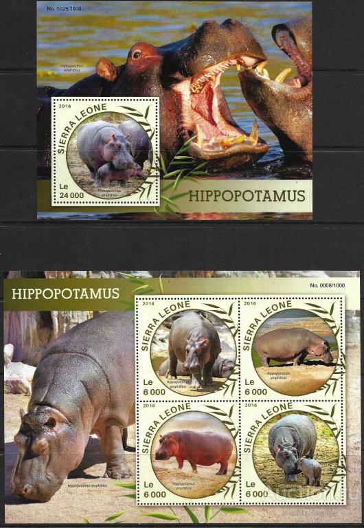 Сьерра-Леоне. 2016 год. Фауна. Бегемоты. 2 блока