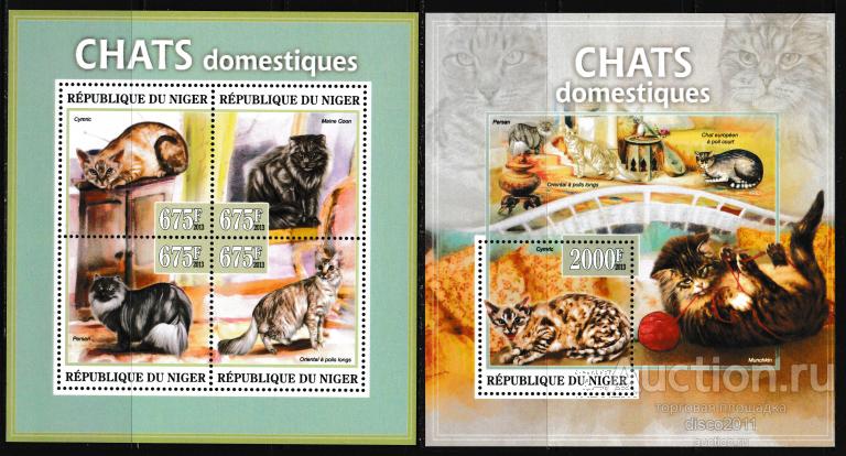 Нигер 2013 Кошки Кошачьи Домашние животные Фауна к/боген+блок**