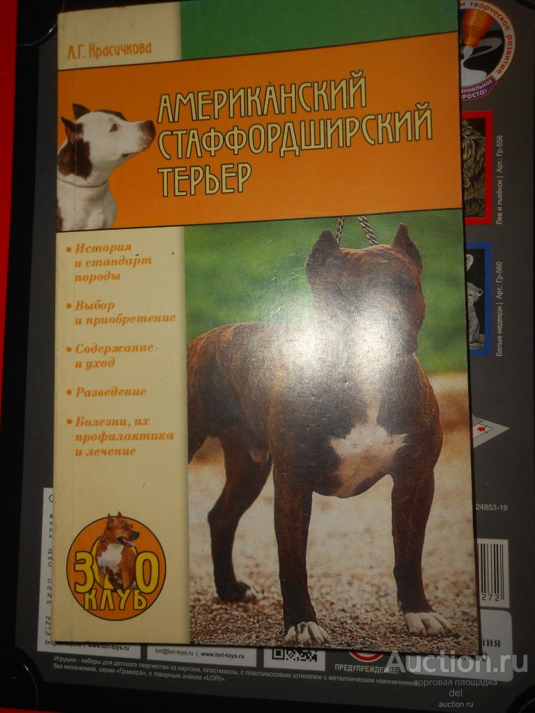 Красичкова, Американский стаффордширский терьер, Вече,2006,зоо клуб, кинология