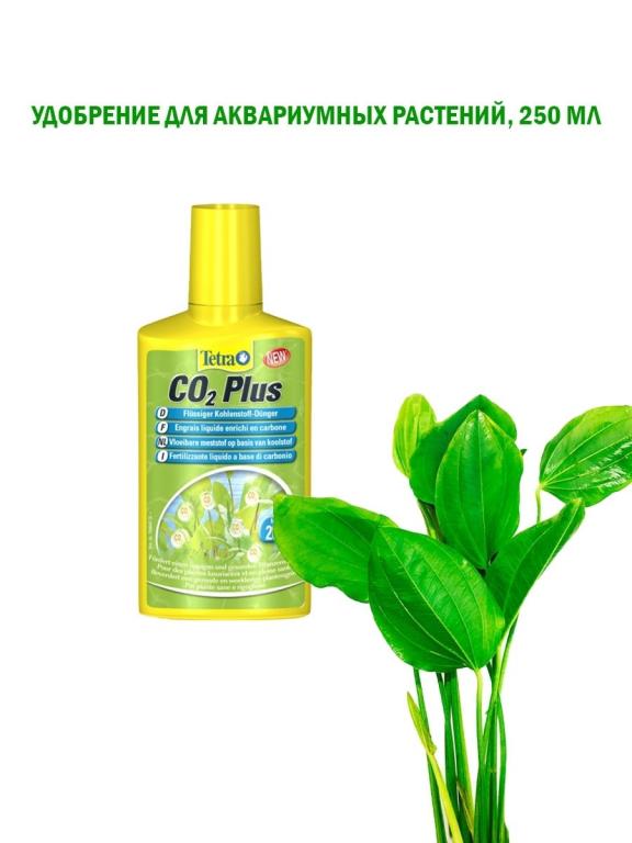 Удобрение Для Аквариумных Растений Купить В Пензе