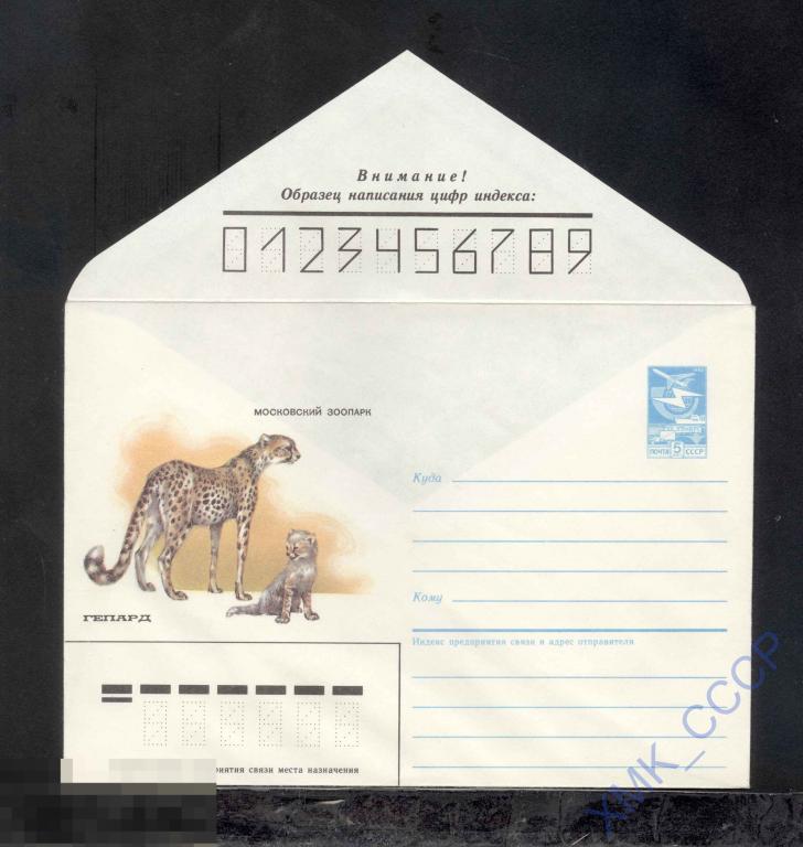 1985.  42  Московский зоопарк. Гепард 