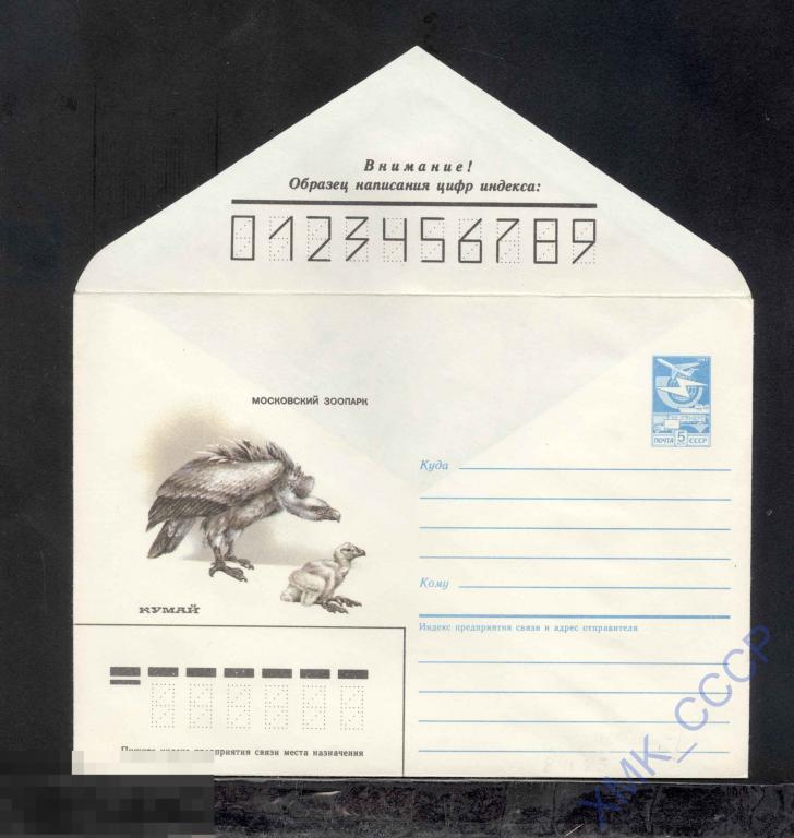 1985.  72  Московский зоопарк. Кумай 