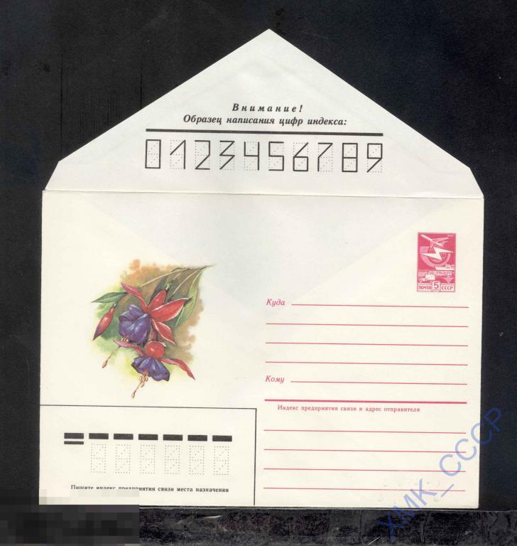 1985.  60  Фуксия гибридная (Сюзанна) 